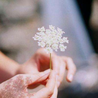 云平台app下载手机版